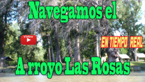 La imagen tiene un atributo ALT vacío; su nombre de archivo es lAS-ROSAS-REAL-YOUTUBE-300x169.jpg